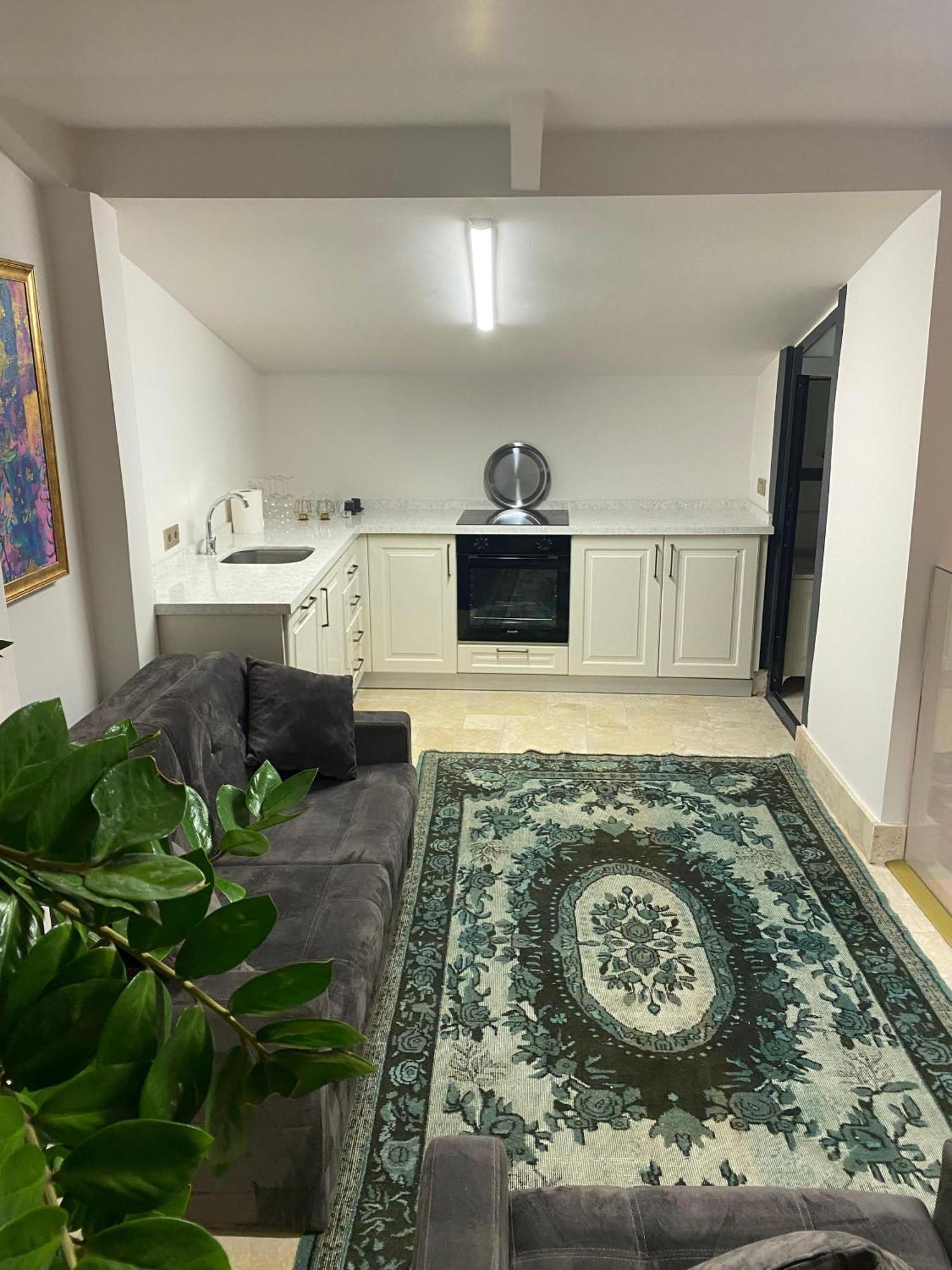Ab Residences- Private Villa Independent Istanbul Exteriör bild
